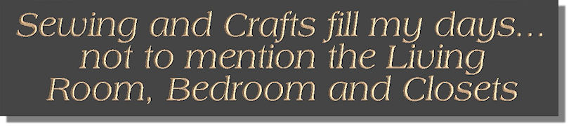 Sewing and Crafts fill my days…not to mention the Living Room, Bedroom and Closets